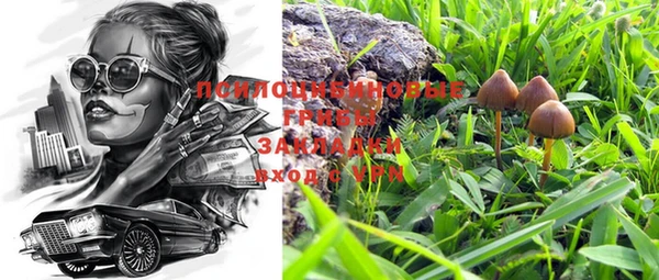шишки Волоколамск