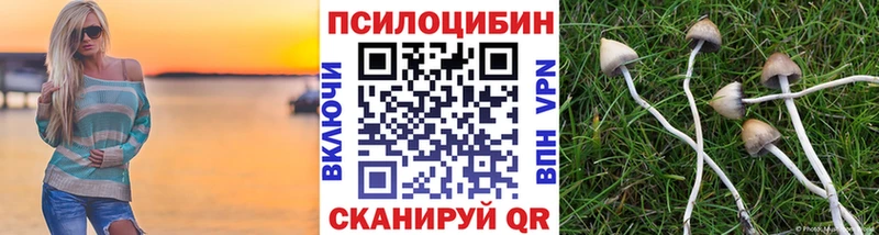 ОМГ ОМГ рабочий сайт  магазин    Дивногорск  Псилоцибиновые грибы MAGIC MUSHROOMS 